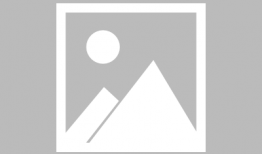 娱乐圈吃瓜爆料女生小说,瓜田里的秘密花园